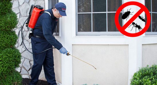 Alaçatı Karınca İlaçlama böcek ilaçlama ve haşere kontrolü — ilaclama-tr.com